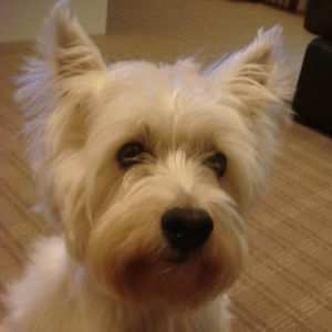 Meet your Posher, Chiaki